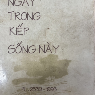 Ngay trong kiếp sống này